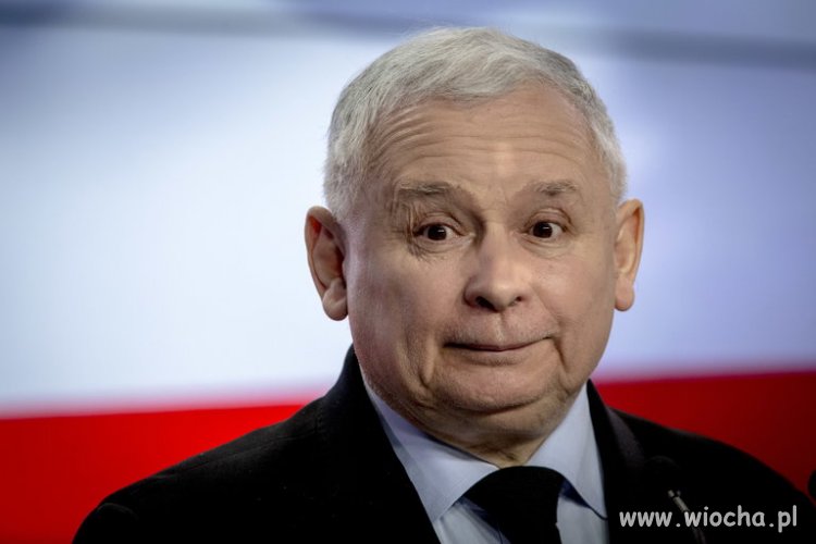 Patola+... rodź bękarty nie pracując przez całe życie 
