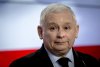 Patola+... rodź bękarty nie pracując przez całe życie 