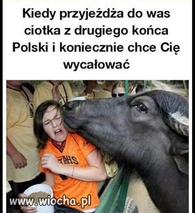 Wszystkie tak mają.