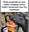 Wszystkie tak mają.