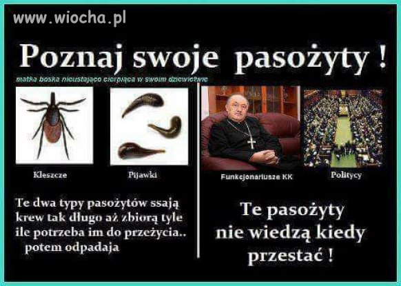 Pasożyty wysiadka !