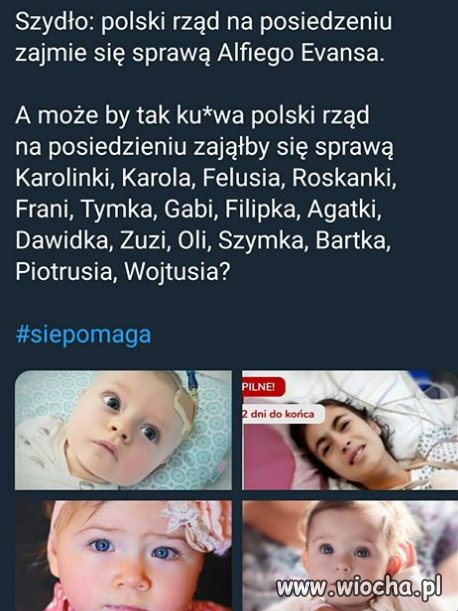 Wystarczy,że lecą do UK trzy ekipy Rutkowskiego