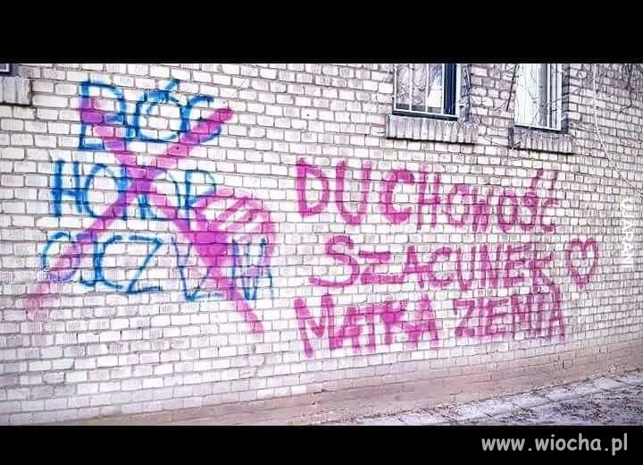 Lepsza opcja