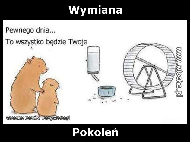 Wymiana