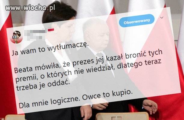 Kupio, kupio :) Ale raczej barany