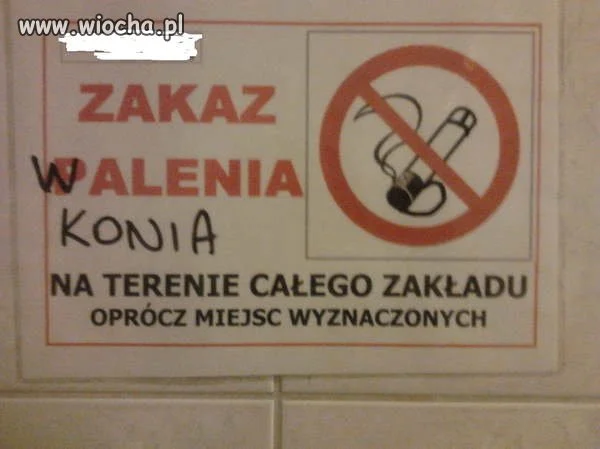 Zakaz