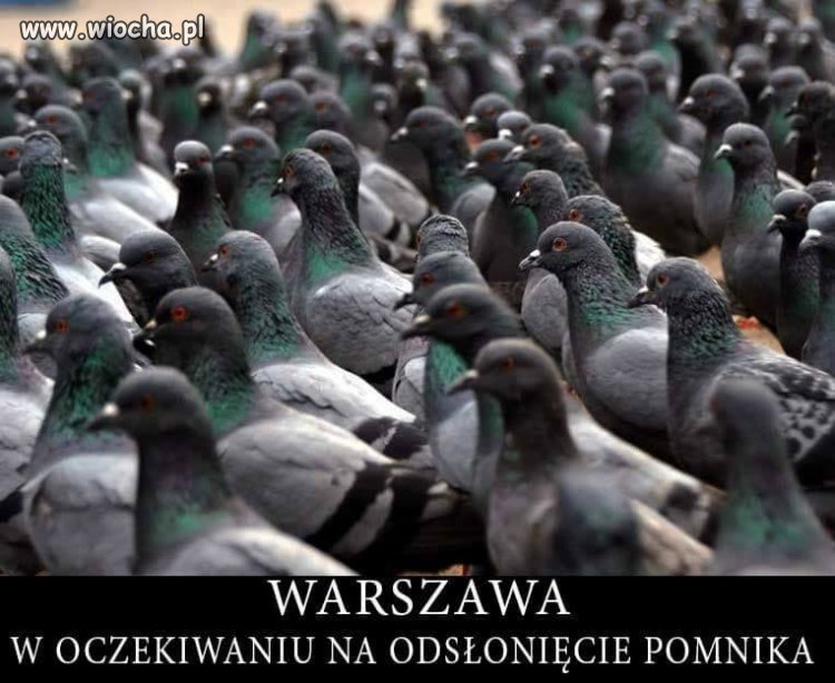 Czekają na pomnik konusa