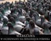 Czekają na pomnik konusa