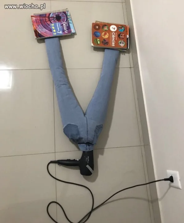 Wysuszone 