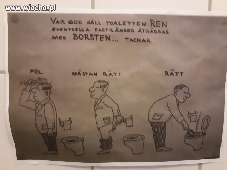 Instrukcja używania szczotki do toalety