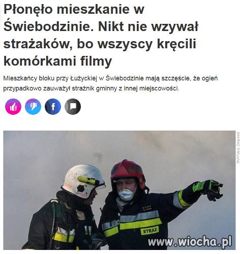 Kamerzyści