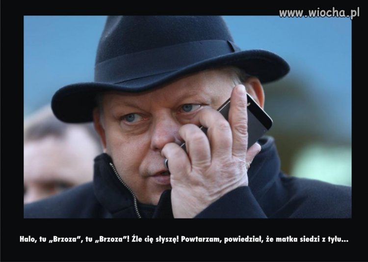 Tu Brzoza
