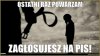 Z cyklu wyborcze pomysły Gowina 