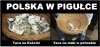 Takie priorytety ma obecna władza