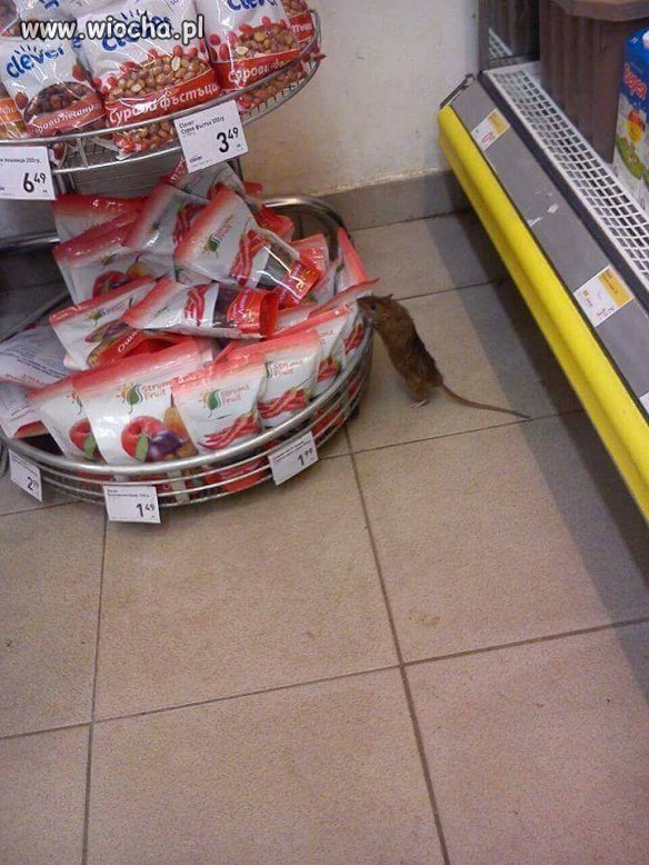 Wreszcie świeże mięso w tym sklepie ...
