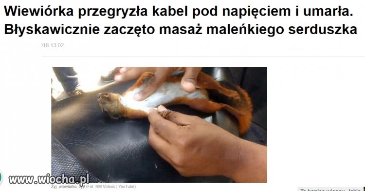 Jak w ...Zabili go i uciekł