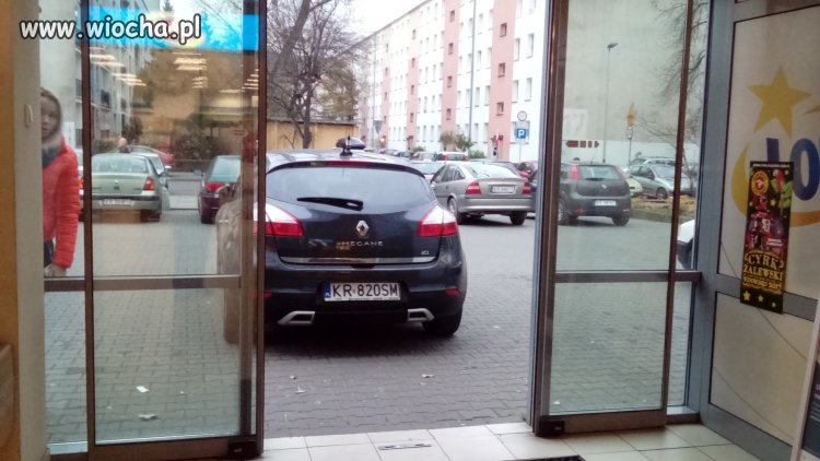 Miszcz parkowania