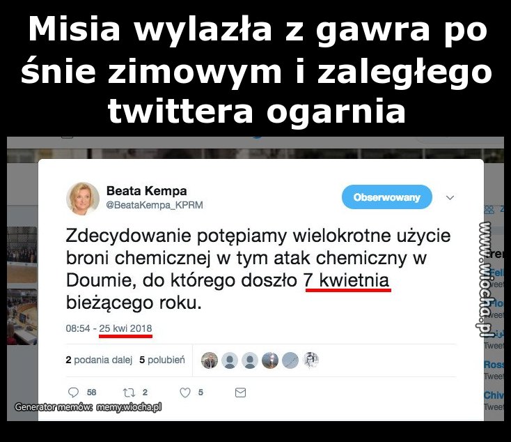 Wiosna przyszła misie budzą się i do roboty się biorą