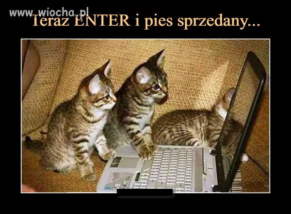 Pamiętaj