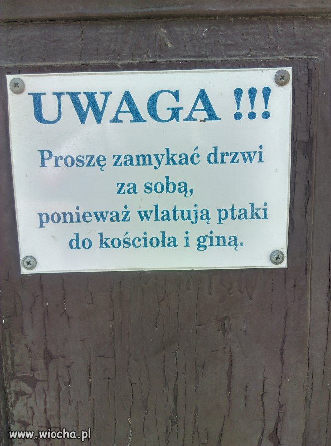 I giną??? 