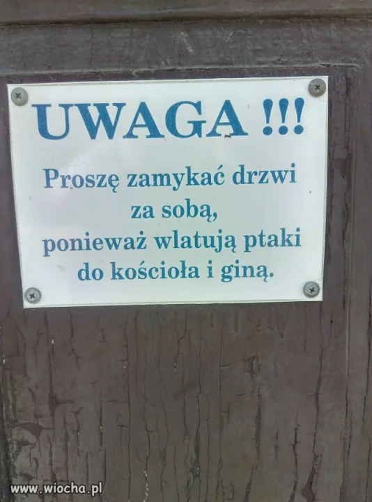 I giną??? 