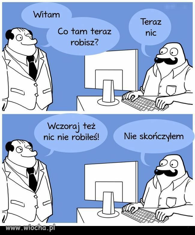 Wygląda na 