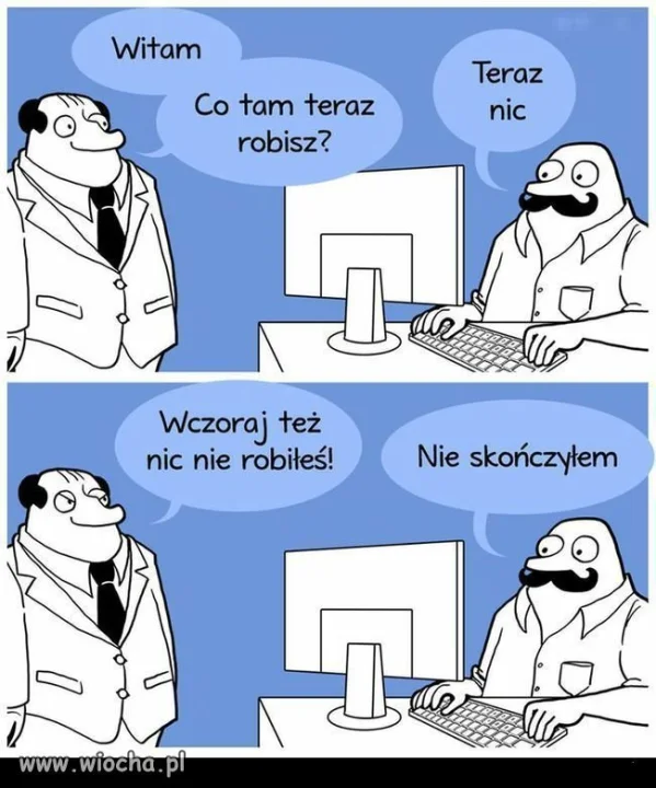 Wygląda na 