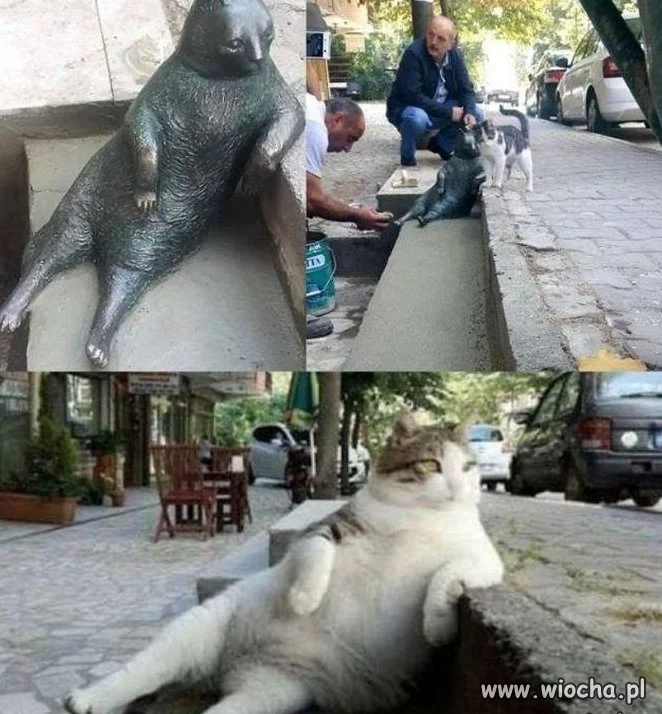 Alik też czeka na swój pomnik!!!