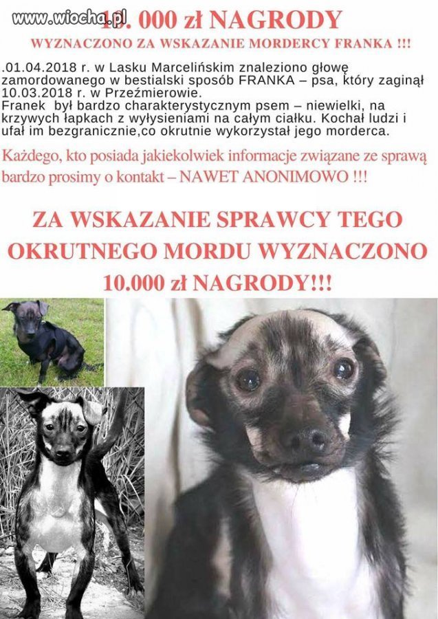 Nagroda za mordercę Franka