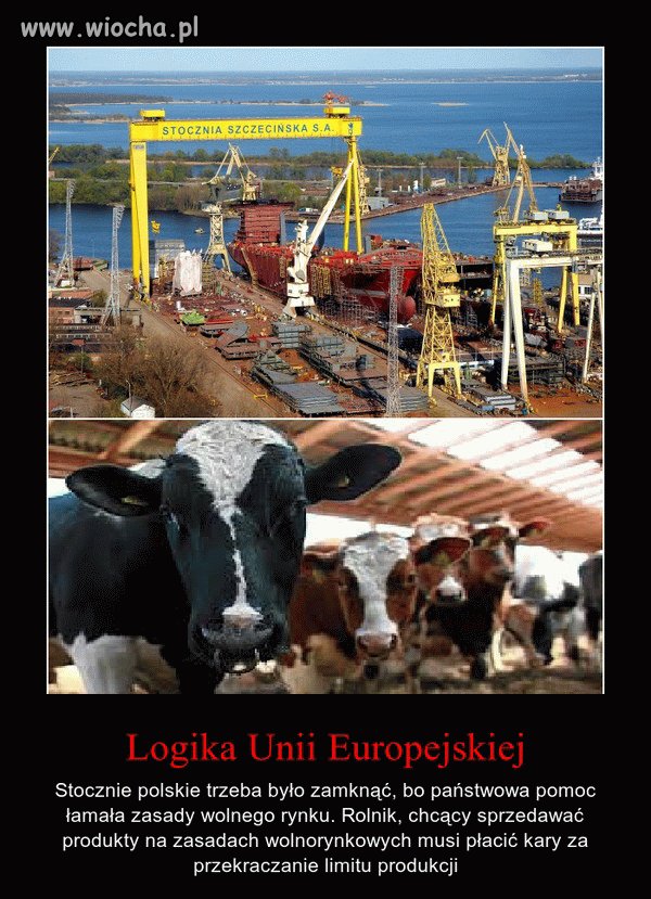 Logika, a raczej jej brak
