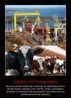 Logika, a raczej jej brak