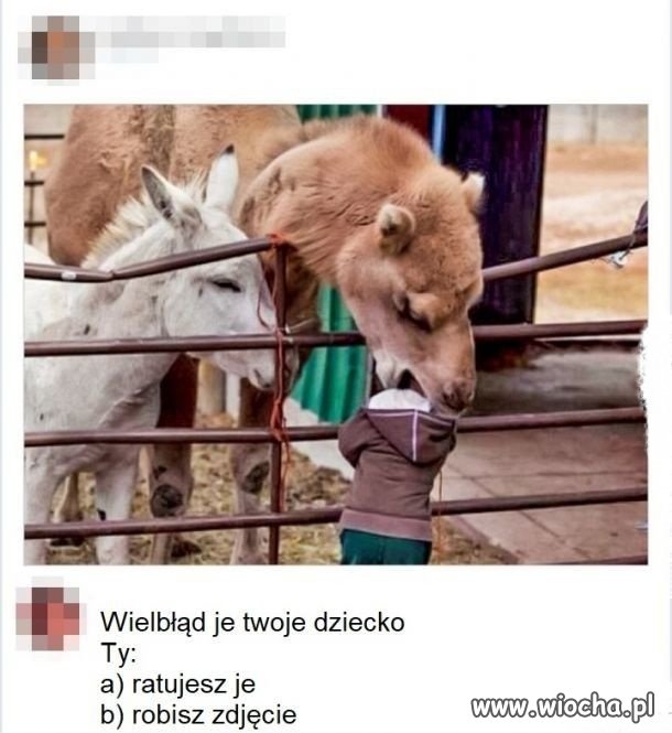 Najpierw