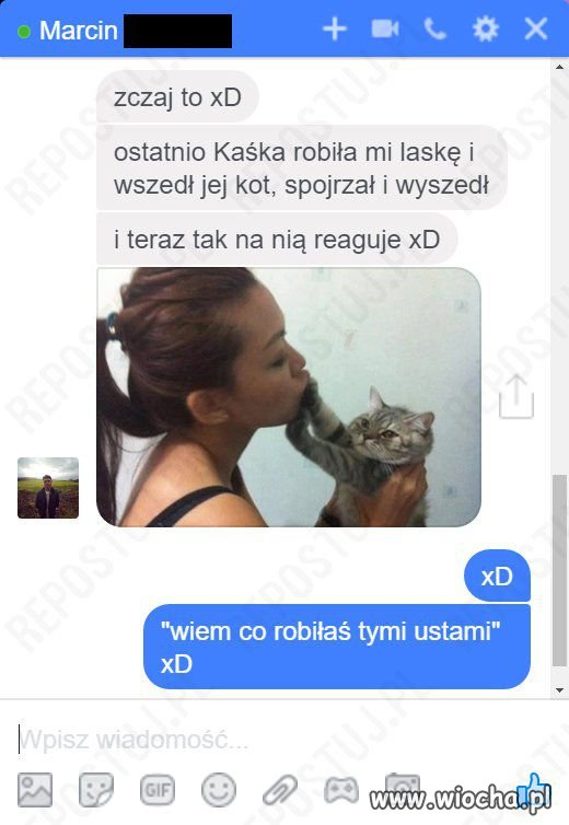 Koteł