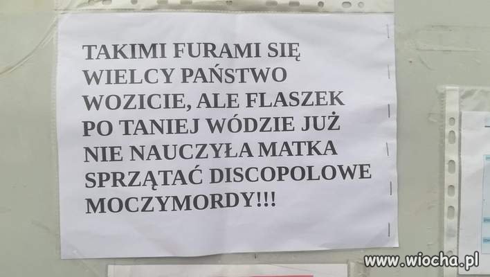 Discopolowe moczymordy