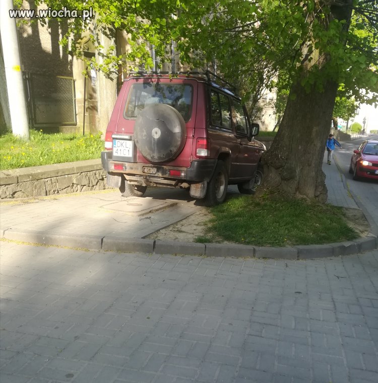 Mistrz parkowania