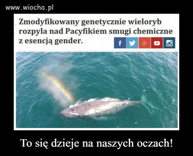 Ostrzeżenie dla wszystkich wyjeżdzających na urlop
