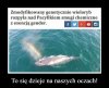 Ostrzeżenie dla wszystkich wyjeżdzających na urlop