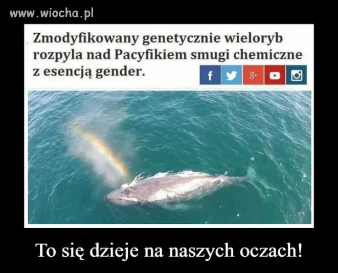 Ostrzeżenie dla wszystkich wyjeżdzających na urlop