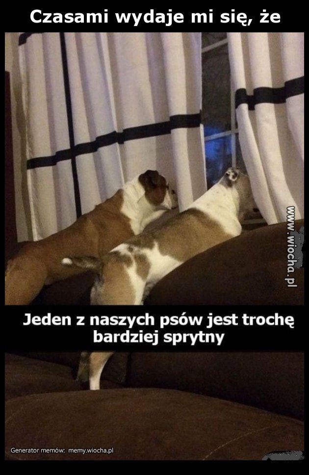 Czasami wydaje mi się, że