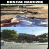 Nauczka