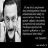 Bardzo celna