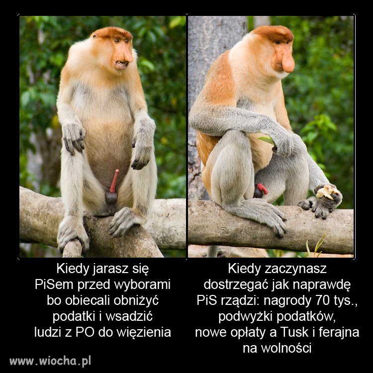 Taka sytuacja