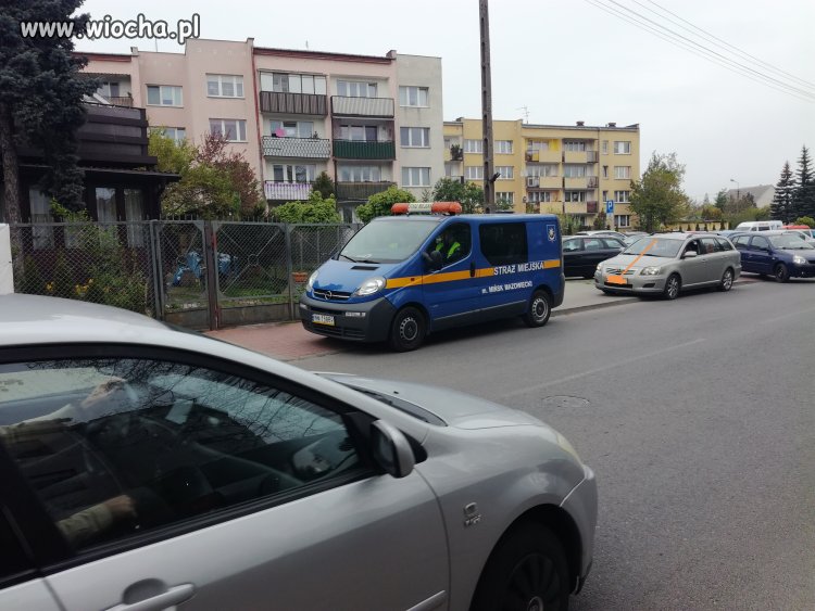 Jak parkuje straż miejska w Mińsku Maz.