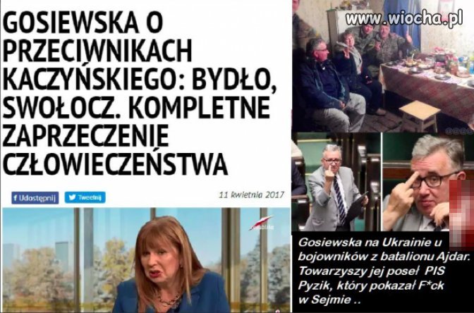Elyta i wzorce