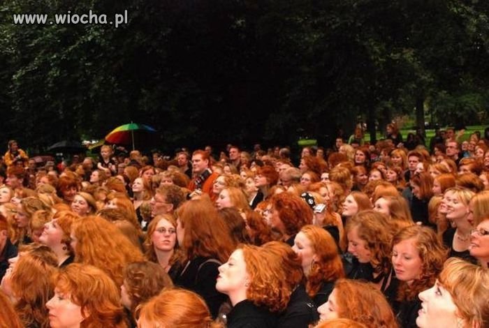 Zlot ludzi bez przyjaciół