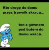 Chyba każdy to zna...