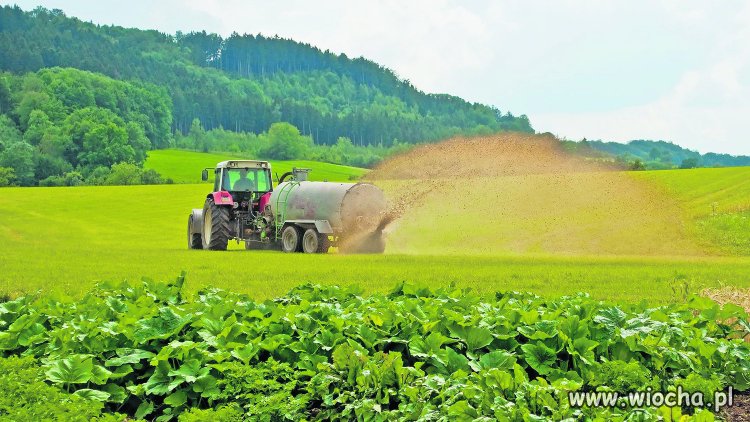 W ostatni czasie tak generalnie widzę podnoszące 