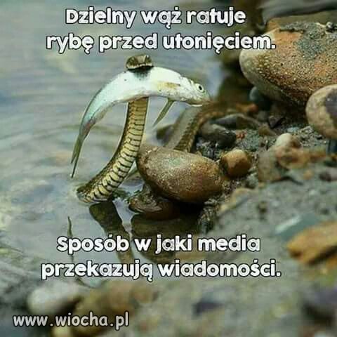 Taka prawda...