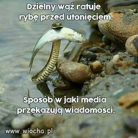 Taka prawda...