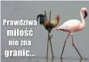 Chyba każdy to zna...